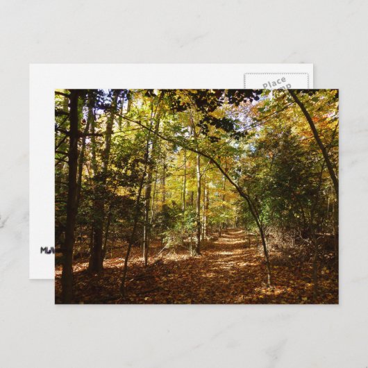 Greenbelt Park in Herfst I Landschap Maryland Briefkaart (Voorkant / Achterkant)