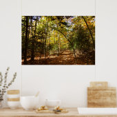 Greenbelt Park in Herfst I Landschap Maryland Poster (Keuken)
