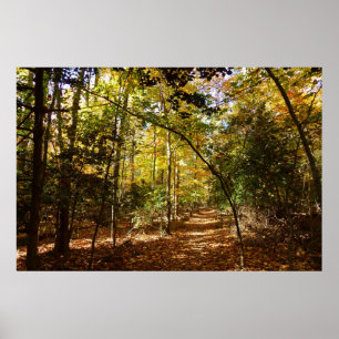 Greenbelt Park in Herfst I Landschap Maryland Poster