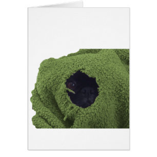 greenblankie.png