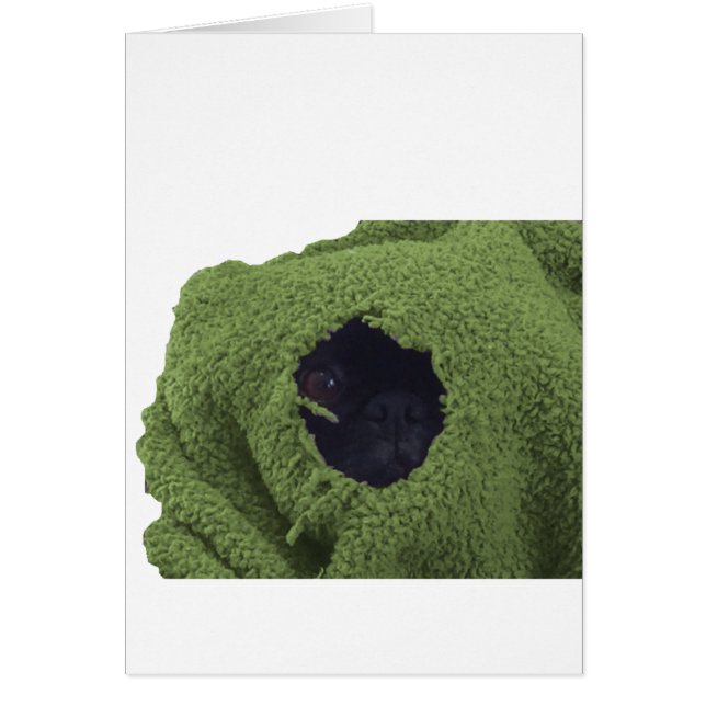 greenblankie.png (Devant)