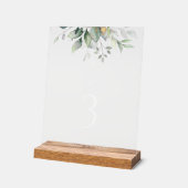 Greenery, Eucalyptus Leaves, Baptism Table Numbers (Angle)