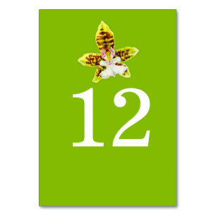 Greenery orchid art bruiloft bloemtabelnummers kaart
