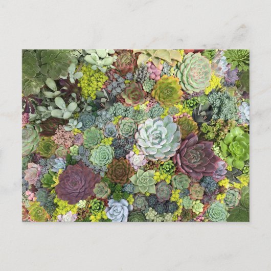 Greenery Succulents Briefkaart (Voorkant)