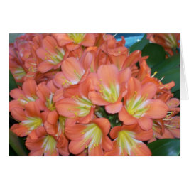 Greenhouse Flowers One