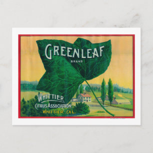 Greenleaf Lemon LabelWhittier, CA Briefkaart