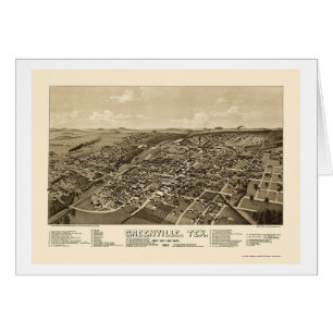 Greenville, carte panoramique de TX - 1886