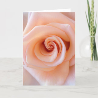 Greeting Card, blank inside Kaart