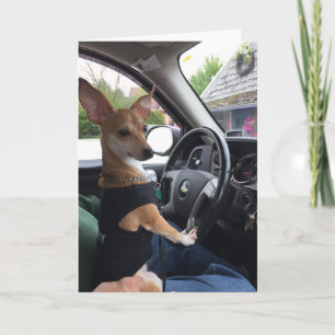 Greeting Card Kaart