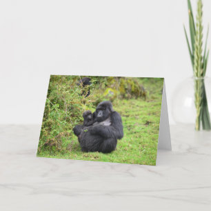 Greeting Cards Dian Fossey Gorilla Kaart