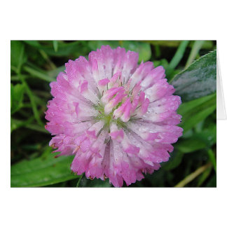 Greeting map wet roze Kleeblüte, blanco