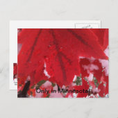 Greeting of Minnesota Briefkaart (Voorkant / Achterkant)