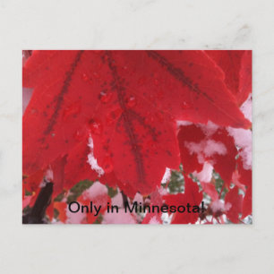Greeting of Minnesota Briefkaart