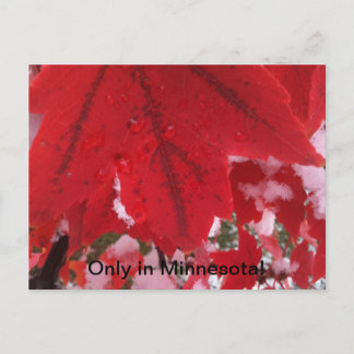 Greeting of Minnesota Briefkaart