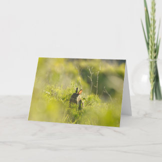 Greetings Card - Rabbit 3 Kaart
