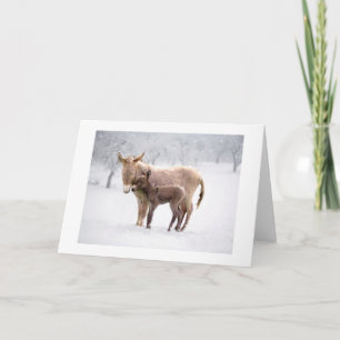 Greetings Card: Snowy Donkeys Card Kaart