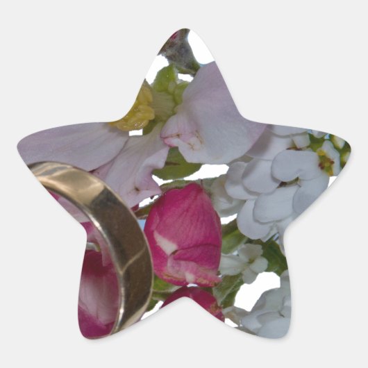 Greetings - Cheers Ster Sticker (Voorkant)