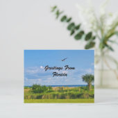 Greetings, Florida, Briefkaart (Staand voorkant)