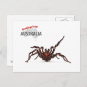 Greetings From Australia - Funnel-Web Spider Briefkaart (Voorkant / Achterkant)