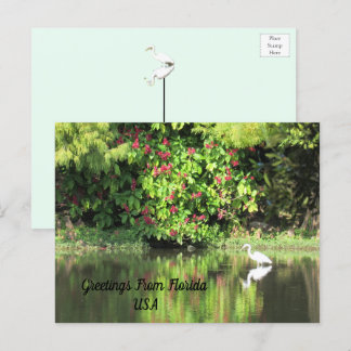 Greetings from Florida - Egret in Landscape Feestdagenkaart