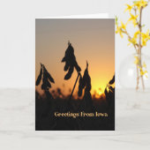 Greetings From Iowa Kaart (Gele Bloem)