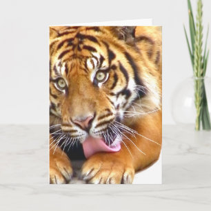 Greetings_ Kaart