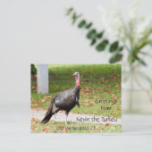 Greetings Kevin The Turkey - Old Wethersfield , CT Briefkaart (Staand voorkant)