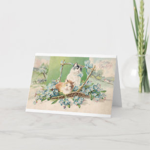 Greetings Kitty Cat Birthday Kaart