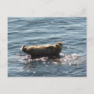 greetings op San Juan Island Briefkaart