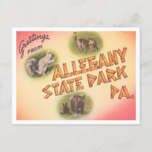 Greetings uit Allegany State Park, Pennsylvania Briefkaart