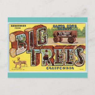 Greetings uit de  kunst van Santa Cruz California Briefkaart