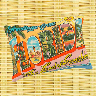 Greetings uit Florida  Style Accent Kussen