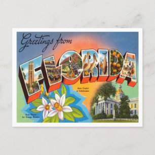 Greetings uit Florida Vintage Travel Briefkaart