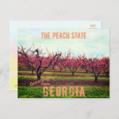 Greetings uit Georgia Peach Orchard Briefkaart (Voorkant / Achterkant)