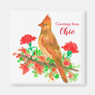 Greetings uit Ohio Cardinale State Bird Magneet