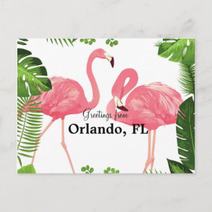 Greetings uit Orlando, FL-roze flamingos Briefkaart
