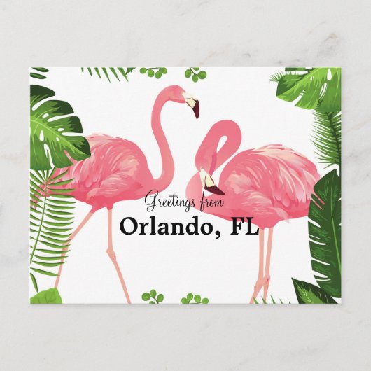Greetings uit Orlando, FL-roze flamingos Briefkaart (Voorkant)