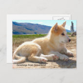 Greetings van Greenland 12 Briefkaart (Voorkant / Achterkant)