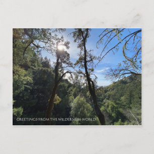 GREETTES VAN DE WILDERNISCHE WERELD! BRIEFKAART