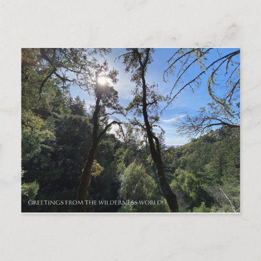 GREETTES VAN DE WILDERNISCHE WERELD! BRIEFKAART (Voorkant)