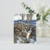 Greffier Colvill et la carte postale Mermaid (Debout devant)