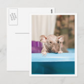 Gremlin Briefkaart (Voorkant / Achterkant)