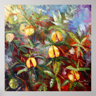 Grenada Nutmeg Poster