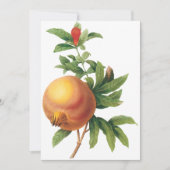 Grenade par Redoute Invitation (Devant)