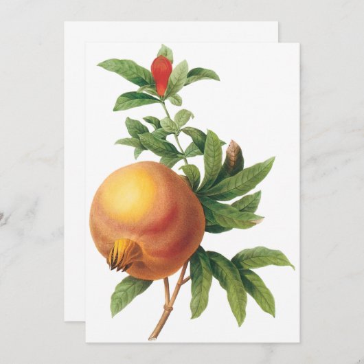 Grenade par Redoute Invitation (Devant / Derrière)