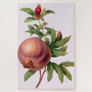Grenade (Pomegranaat) van Pierre Redout Legpuzzel