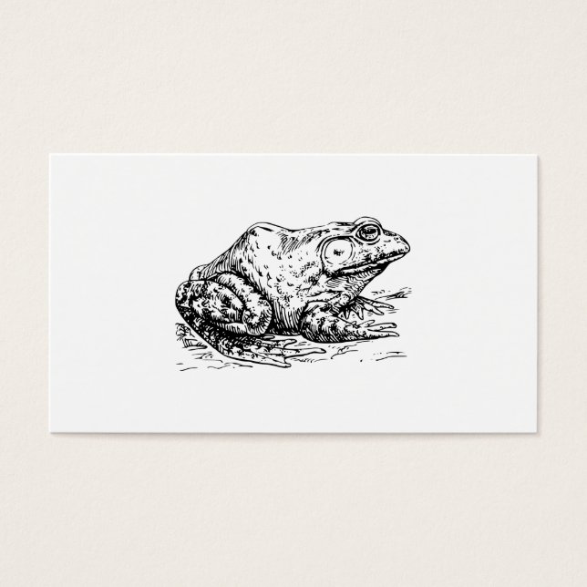 Grenouille (Devant)