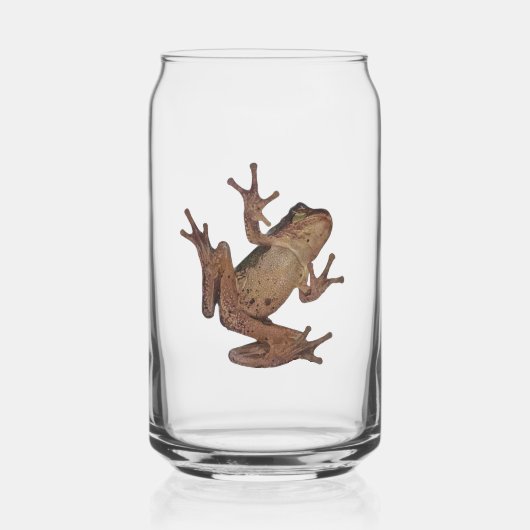 grenouille (Recto)