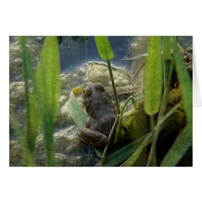 Grenouille (Devant horizontal)