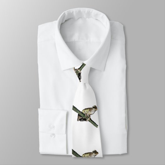 Grenouille à arbre vert peinte, cravate (Attaché)